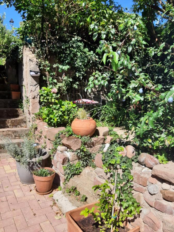 Studio Tout Confort 2 Personnes Au Coeur De L'Alsace Wolxheim Екстериор снимка