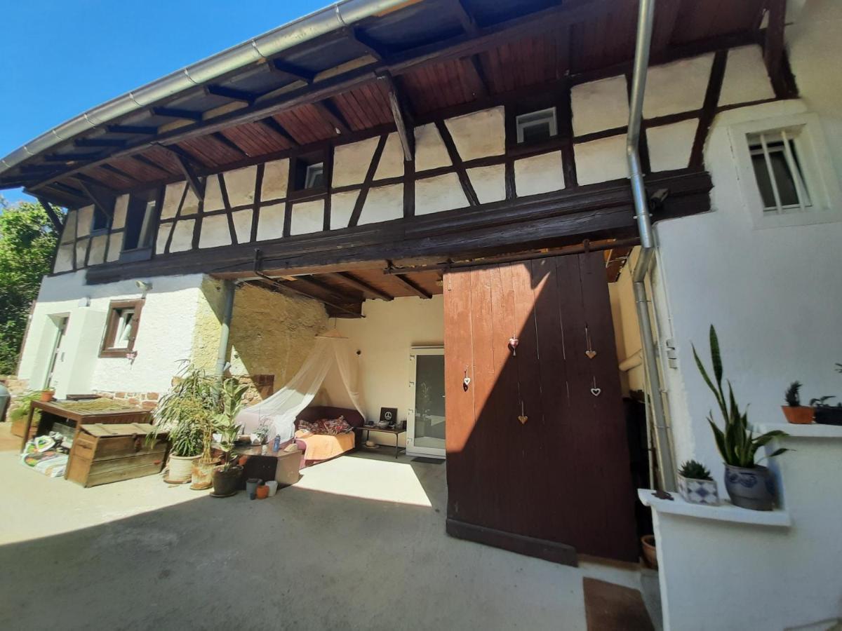 Studio Tout Confort 2 Personnes Au Coeur De L'Alsace Wolxheim Екстериор снимка