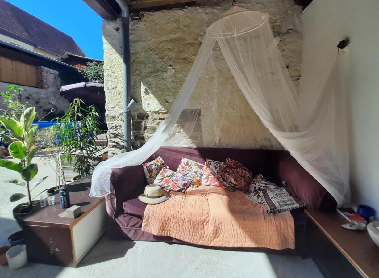 Studio Tout Confort 2 Personnes Au Coeur De L'Alsace Wolxheim Екстериор снимка