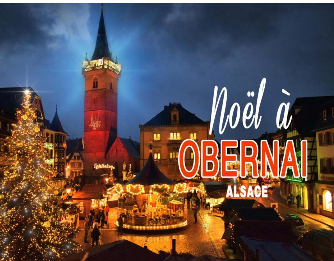 Studio Tout Confort 2 Personnes Au Coeur De L'Alsace Wolxheim Екстериор снимка