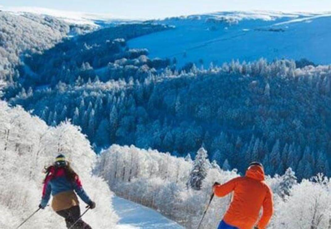 Studio Tout Confort 2 Personnes Au Coeur De L'Alsace Wolxheim Екстериор снимка