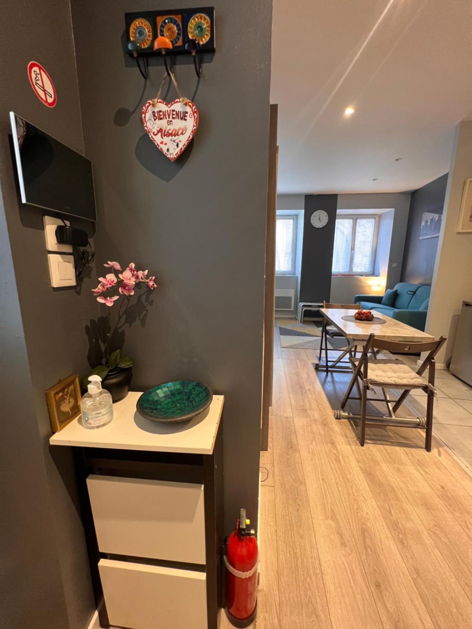 Studio Tout Confort 2 Personnes Au Coeur De L'Alsace Wolxheim Екстериор снимка